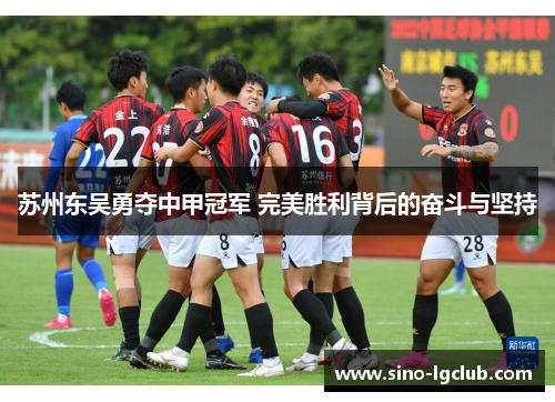 苏州东吴勇夺中甲冠军 完美胜利背后的奋斗与坚持