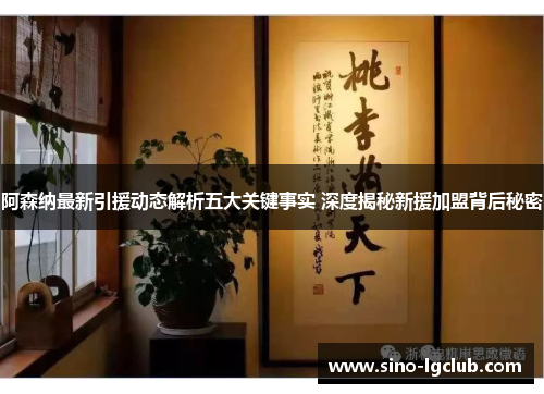 阿森纳最新引援动态解析五大关键事实 深度揭秘新援加盟背后秘密 阿森纳最新引援动态解析五大关键事实 深度揭秘新援加盟背后秘密